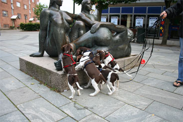 Hvalpene kigger på en statue i byen