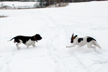 Walther og Thea leger i den nyfaldne sne