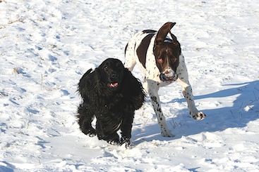 Wilma og Sonja i sneen